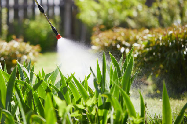 24/7 Emergency Mosquito Control experts in West Orange, TX