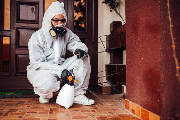 Reliable Mosquito Control contractor in West Orange, TX by Show Me Pest Control
